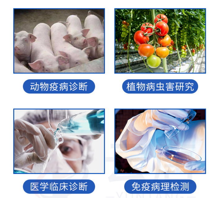 動物疫病檢測儀的檢測范圍有哪些？