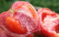 為何建議超市配備食品安全檢測儀？